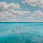 Selina kebbit monkfish riddle answer