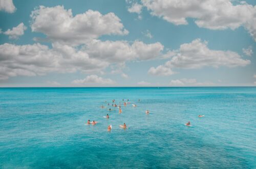 Selina kebbit monkfish riddle answer